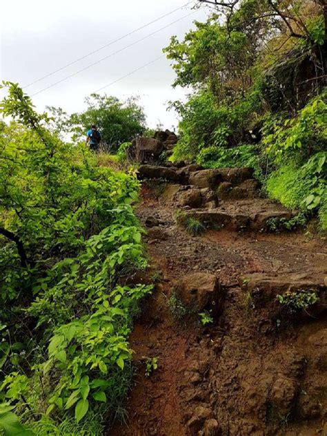 A day trip to Sinhagad fort by trek, a famous fort near Pune.