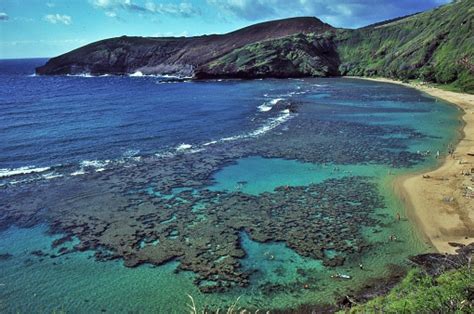 Hanauma Bay Coral Reef Stock Photo - Download Image Now - 2015, Beach ...