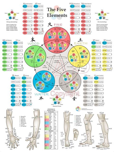 Five Elements Acupuncture Points Poster (With images) | Acupuncture ...