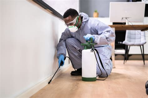 Lagos, Nigeria Bed Bug Fumigation Services | African Land