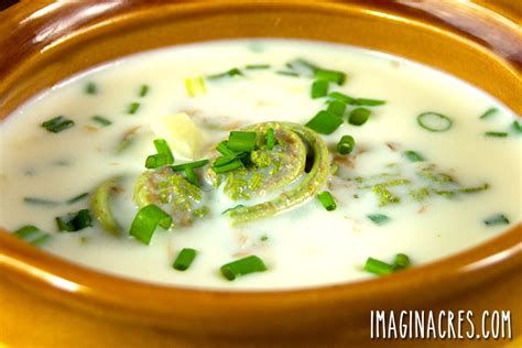 Creamy Fiddlehead Soup with Chives - ImaginAcres