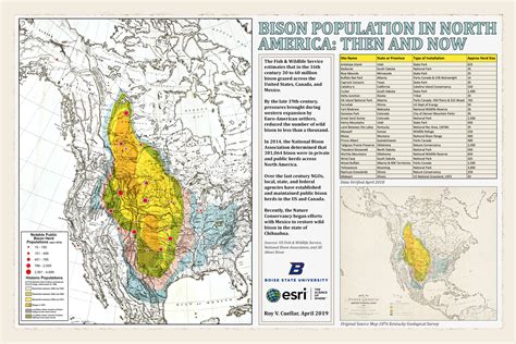 Bison Population in North America: Then and Now