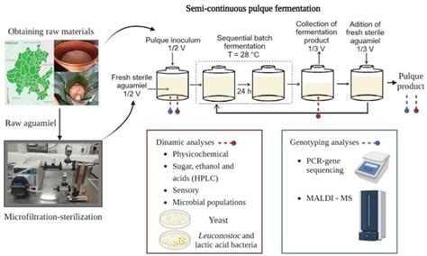 Fermentation | Free Full-Text | A Semi-Continuous Fermentation Process ...