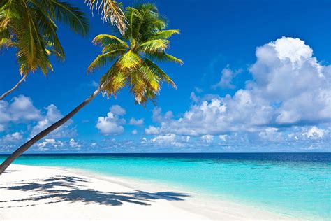 Caribbean Beaches . Caribbean Beach, Caribbean Computer HD wallpaper ...