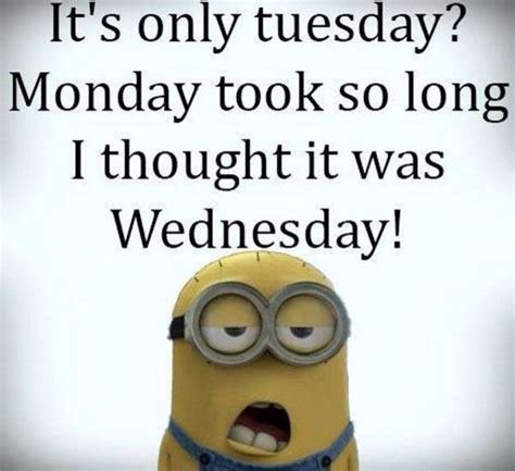 It's only Tuesday? | Funny minion memes, Friday quotes funny, Funny ...