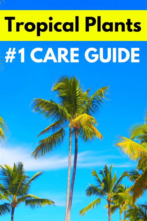 Tropical Plants Care #1 Best Guide