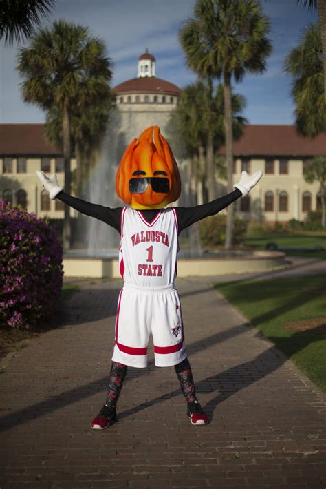 Meet Blaze! - Valdosta State University