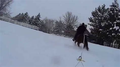 Horse pulling sled - YouTube