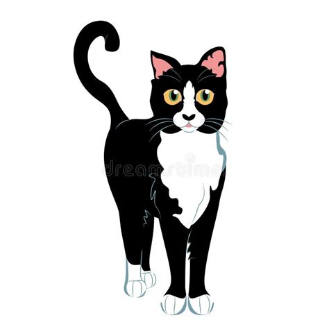 Black White Cat Stock Illustrations – 176,366 Black White Cat Stock ...