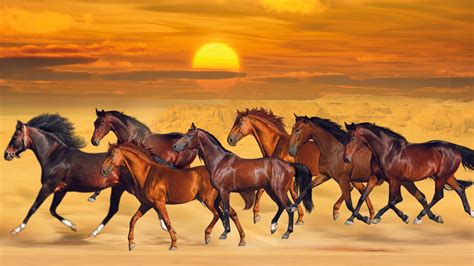 Seven Horses Are Running On Sea Sand During Sunset HD Beautiful ...