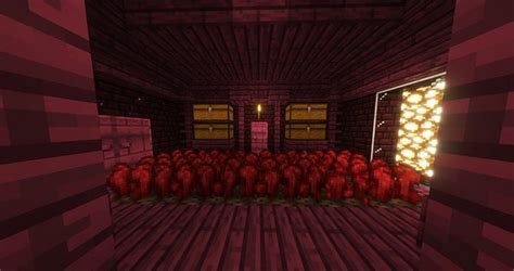 Different growth stages of Nether wart in Minecraft