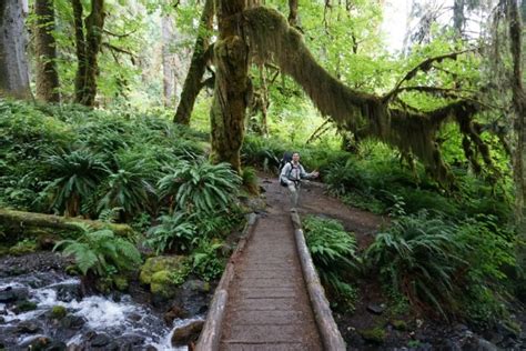 Hiking the Hoh Rainforest | Camping for Women