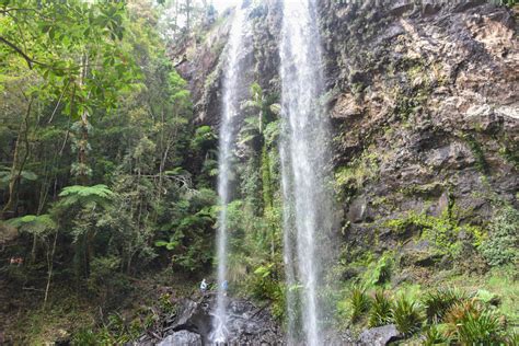 7 Amazing Waterfalls at Springbrook National Park