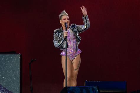 Pink Left Stunned After Fan Throws Mother's Ashes On Stage | HuffPost ...