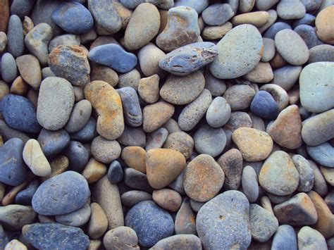 Collection Of Pebbles Free Stock Photo - Public Domain Pictures