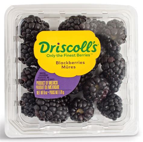 Driscoll's Blackberries | Hy-Vee Aisles Online Grocery Shopping