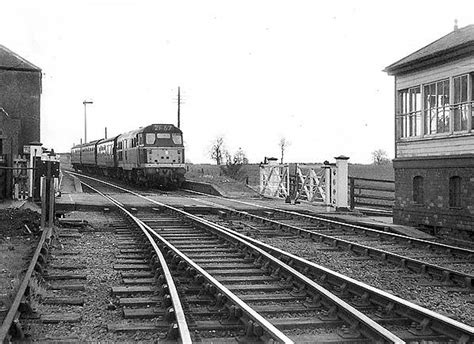 Disused Stations: Billing Station | Природа