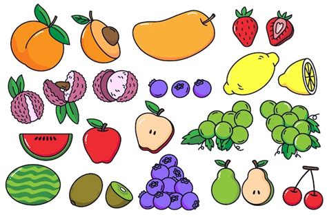 Premium Vector | Simple and colourful fruit drawing