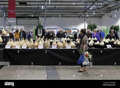 Harrogate Flower Show 2018 Harrogate, Yorkshire, UK. 18th Sept, 2018 ...