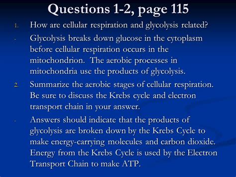 Cellular Respiration Animation