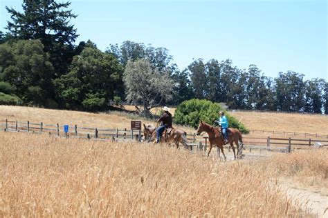 Hiking with Kids: Bear Valley Trail | Marin Mommies