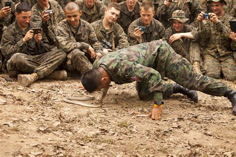 Royal Thai, US Marines conduct jungle survival training [I… | Flickr