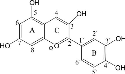 Molecular structure of cyanidin the common anthocyanin aglycone core ...