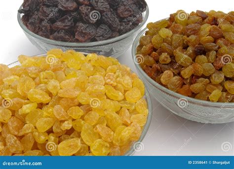 Different Raisins Stock Image - Image: 2358641