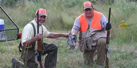 The California Quail - Texas Quail Hunting