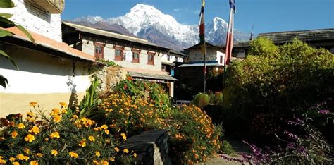 Ghandruk Australian Base Camp Trek from Pokhara 4 Days - 2021/2022 ...