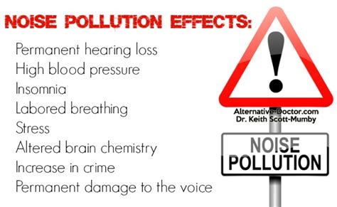 Noise Pollution Effects: Can Noise Make You Stupid?