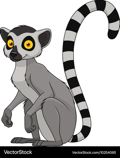 Adult funny lemur Royalty Free Vector Image - VectorStock