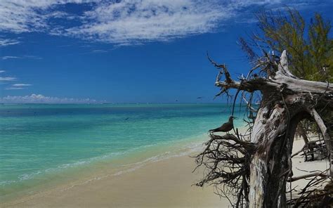 THE 15 BEST Things to Do in Rodrigues Island - UPDATED 2021 - Must See ...