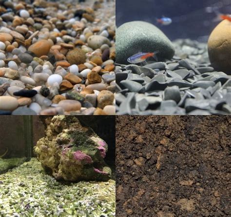 How to Choose the Best Substrate for Aquarium? Aquasoil, Sand & More ...