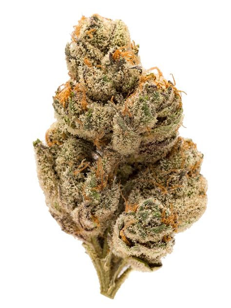 Do-Si-Dos (aka Do-Si-Do, Do Si Do) Weed Strain Information | Weedmaps