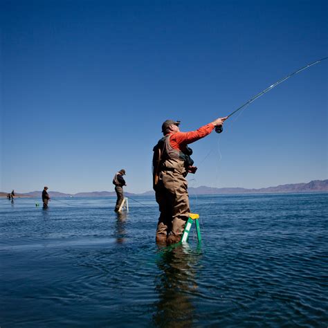 Pyramid Lake Fishing California - Scvhistory Com Lw2658a Gorman Area ...