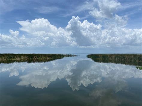 Thursdays Off the Beaten Path: Lake Apopka Wildlife Drive - The Castle Run