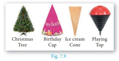 Cone Shape Examples