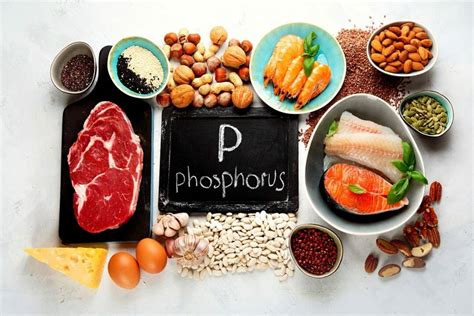 Ultimate Guide to Kidney Disease and Low Phosphorus Dieting - Avoid ...