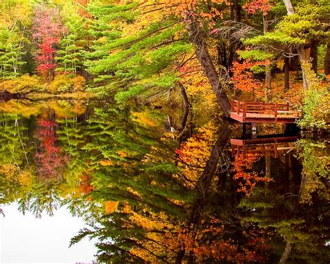 Fire pond foliage reflection Photograph by Jeff Folger - Fine Art America