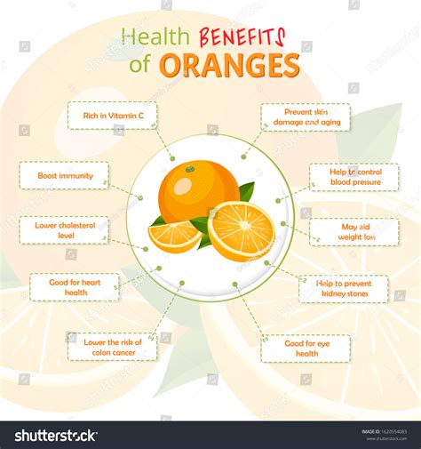 Health Benefits Orange Oranges Nutrients Infographic Stock Vector ...