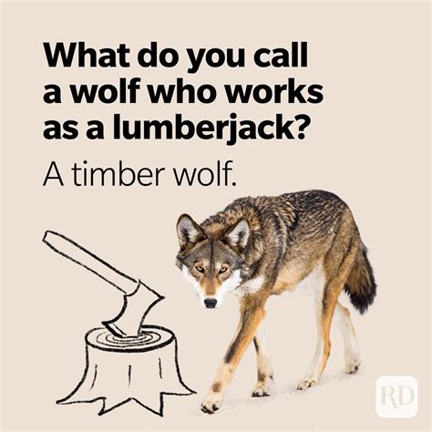 25 Wolf Puns That Are Howlingly Funny | Reader's Digest