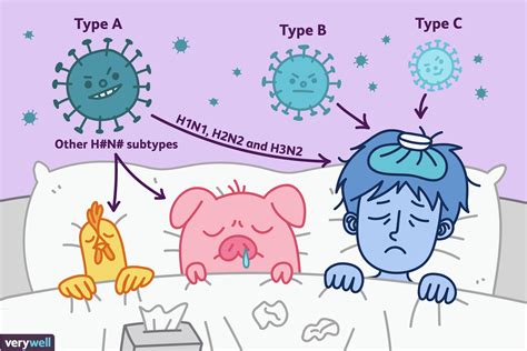 What Is Influenza? Understanding Influenza A and B