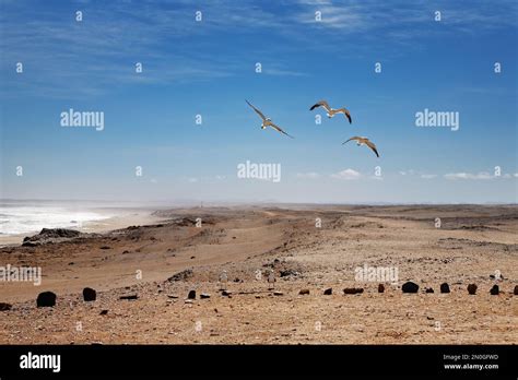 Namib Desert, Skeleton Coast, Namibia Stock Photo - Alamy