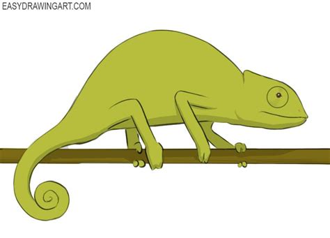 How to Draw a Chameleon Easy