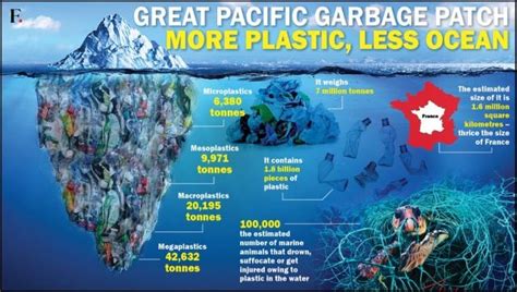 Plastic Home: How the Great Pacific Garbage Patch is now thriving with ...