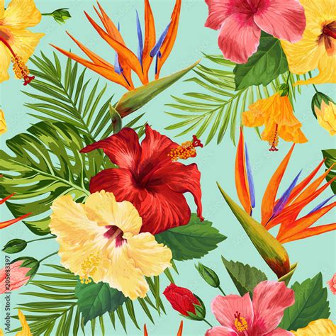 Tropical Flower Wallpapers