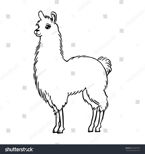 Llama Silhouette Drawing Vector - 259874957 : Shutterstock