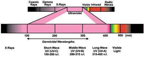 What is Germicidal Ultraviolet? - Ultraviolet.com