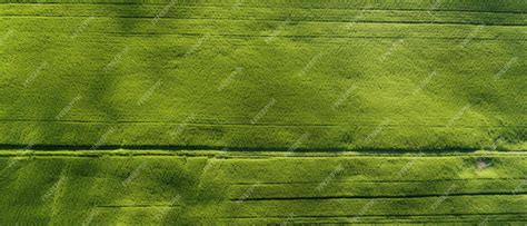 Premium AI Image | an aerial view of a field of green grass